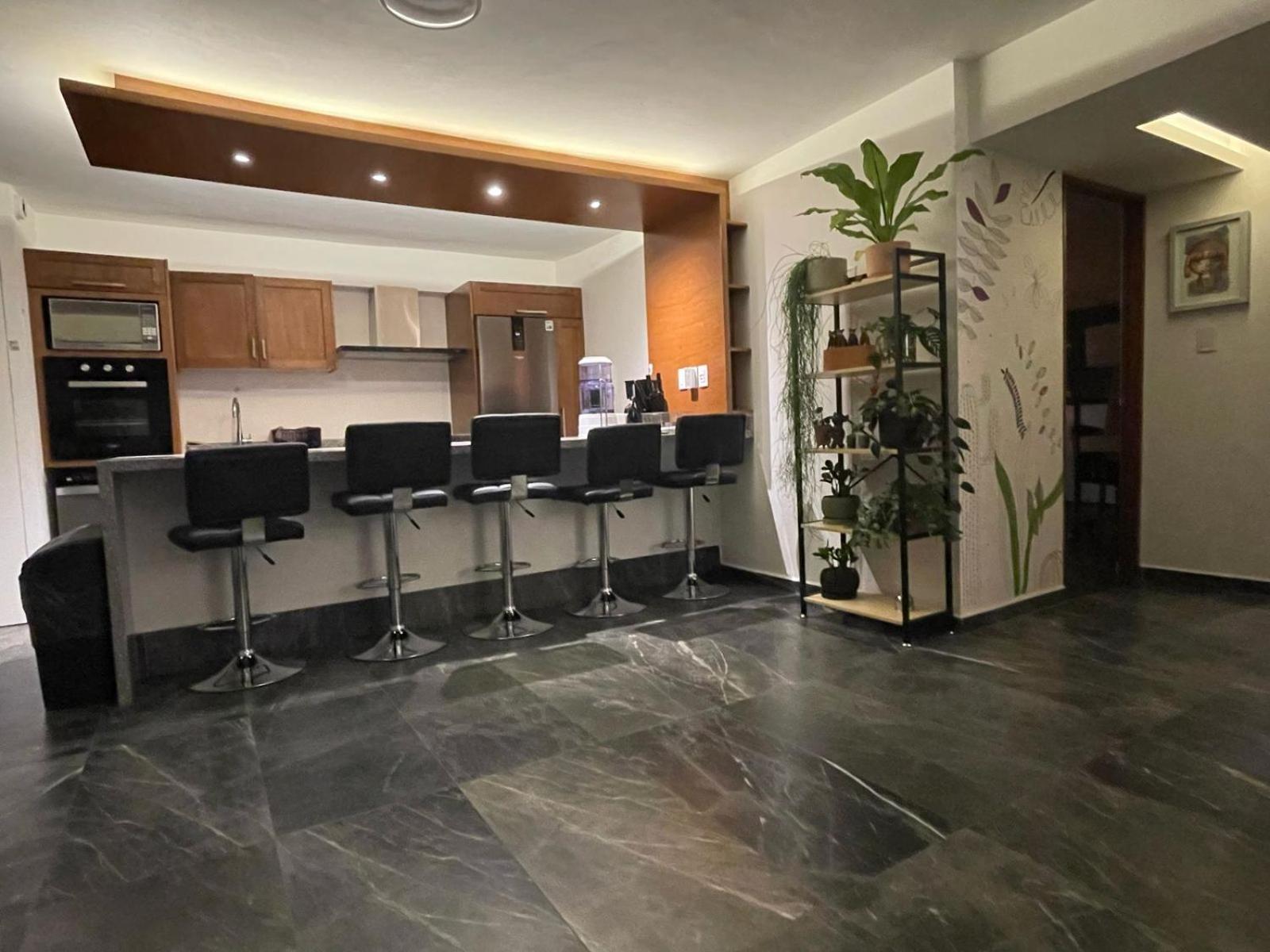 Great Apartment In The Heart Of Coyoacan Mexico-stad Buitenkant foto