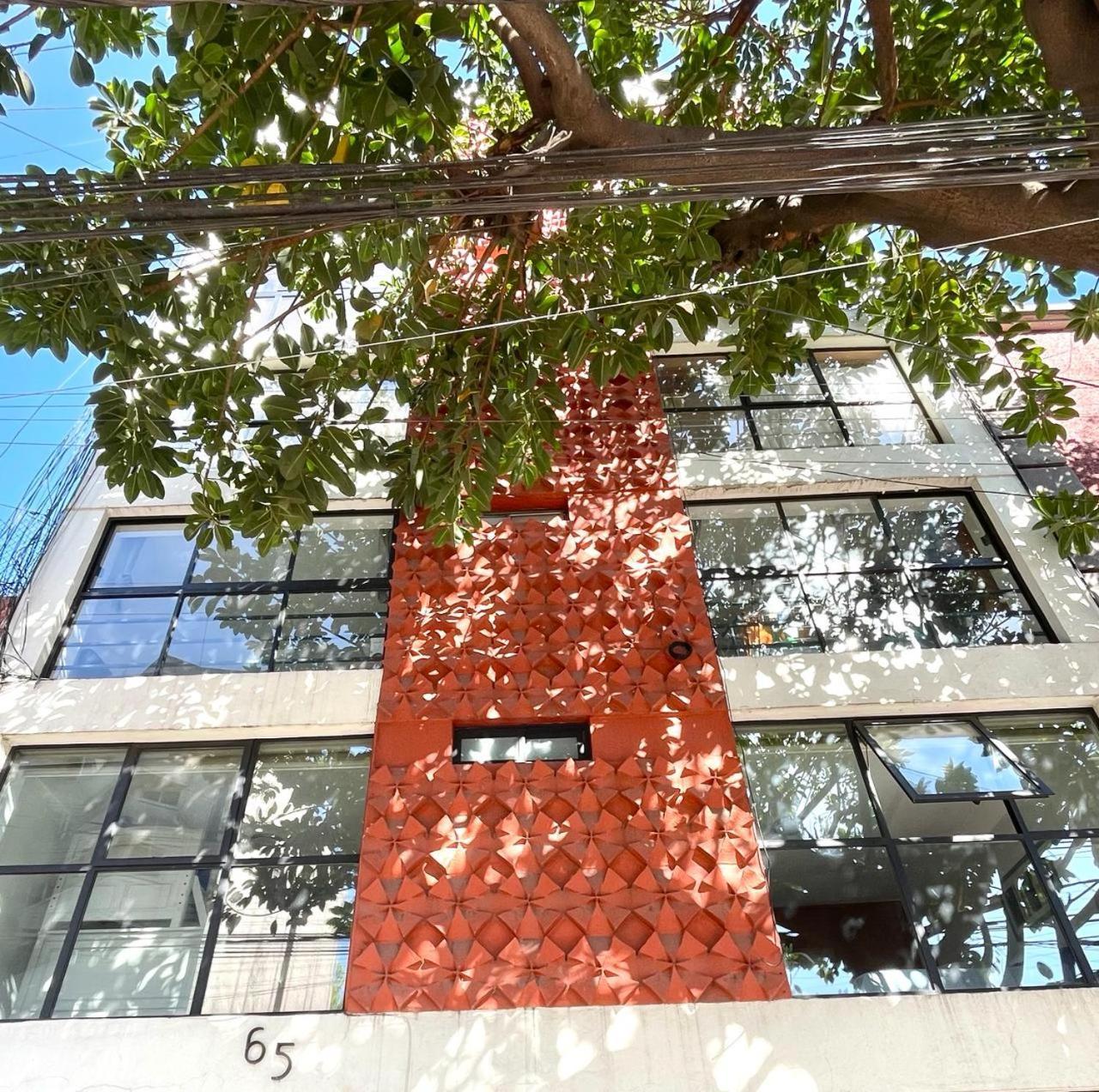 Great Apartment In The Heart Of Coyoacan Mexico-stad Buitenkant foto